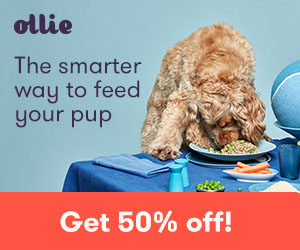 Ollie Dog Foods Offers