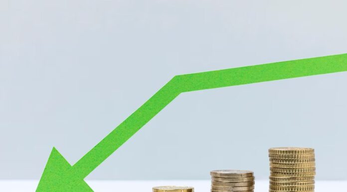 How can IT services help reduce costs for companies? reduce-cost-of-company