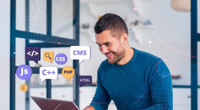 Are You Worried To Start Your Career as WordPress Developer? WordPress Development